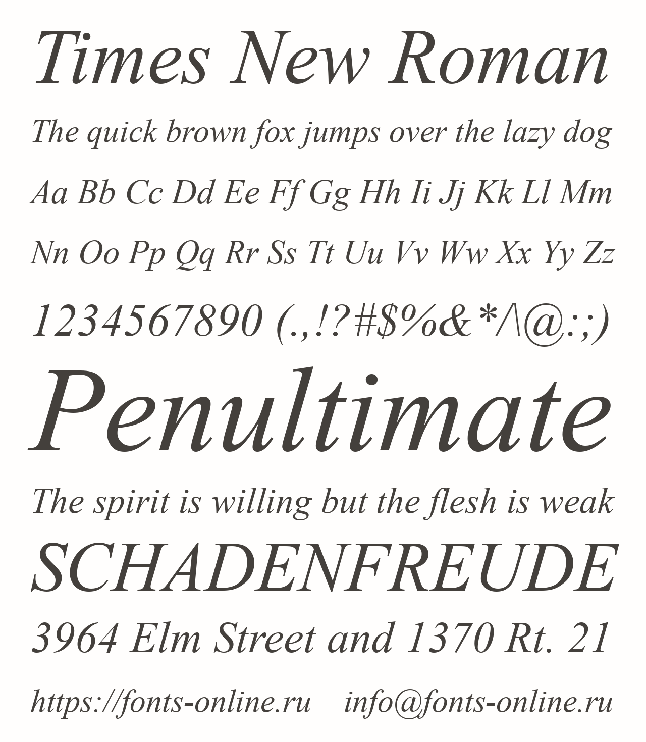 Times New Roman